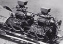 Flathead twins
